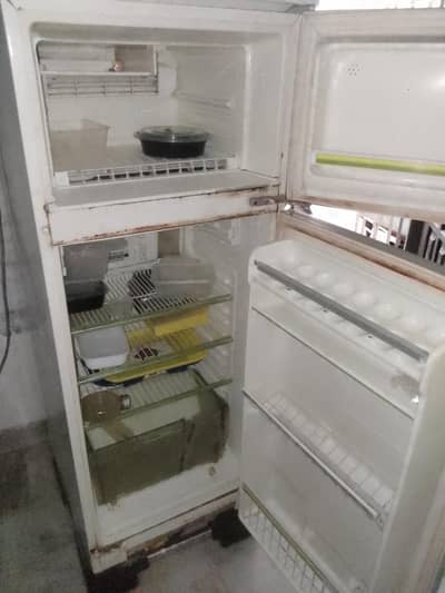 national fridge medium size