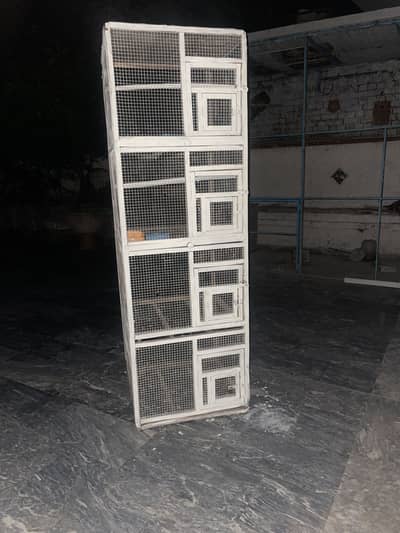 Parrot cage
