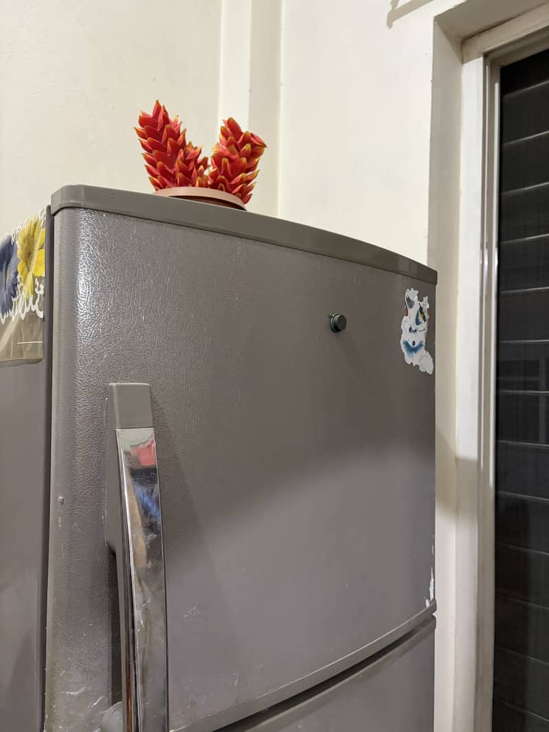 Refrigerator 6
