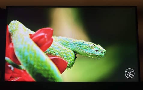 Samsung LS27A600U 27” QHD IPS Monitor – Excellent Condition
