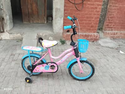 Barbie Cycle (Age Range 5-8)
