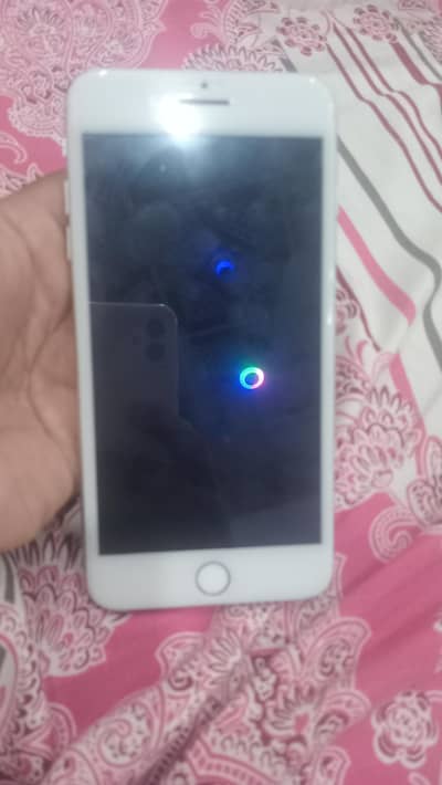 8 plus best camera pta