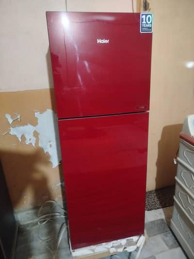 Haier brand new refrigerator