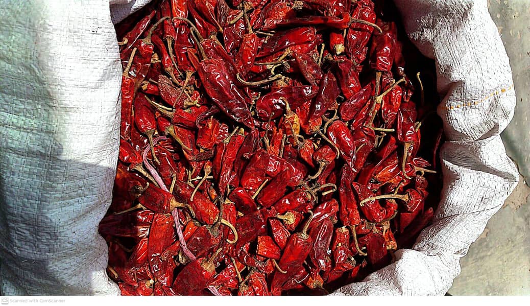Red Chilli 2