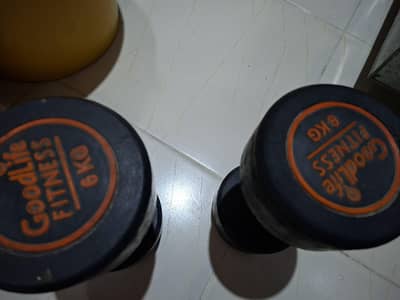 6KG Dumbbells + Gym Bench for Sale – Excellent Condition