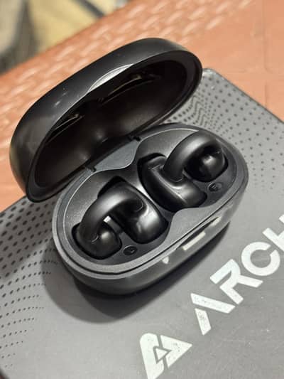Earphones