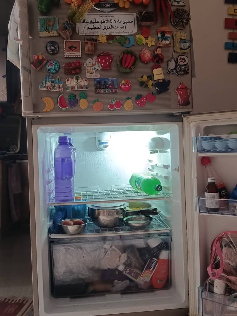 Freezer 1