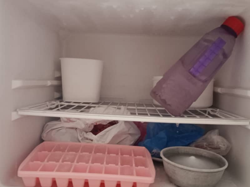 Freezer 4