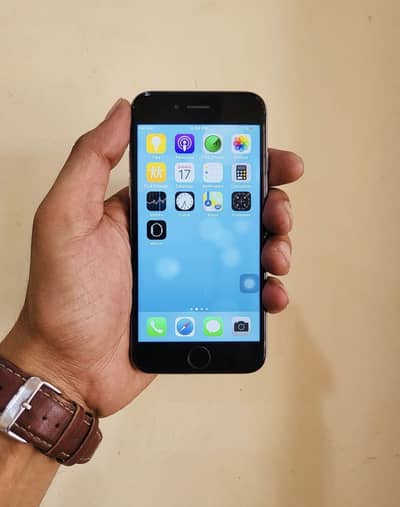 iphone 6 pta