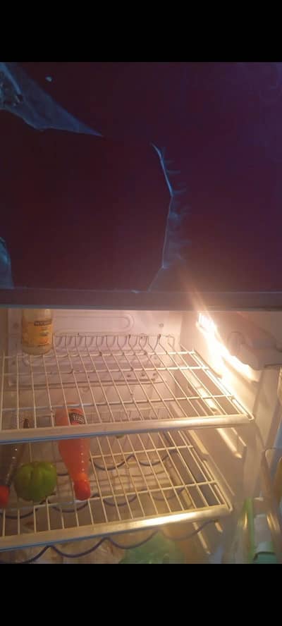 Singer Company Fridge Sale