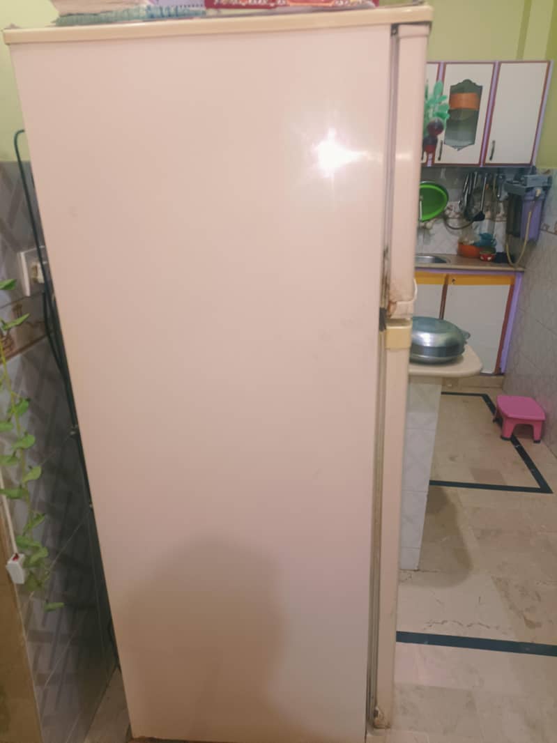medium size 6