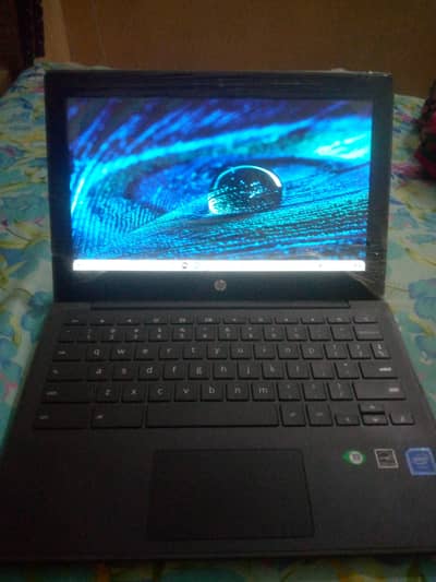 HP Chromebook