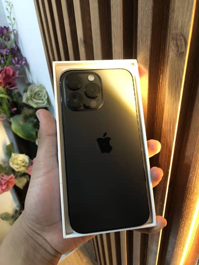 iPhone 14 Pro Max Cleanest 10/10