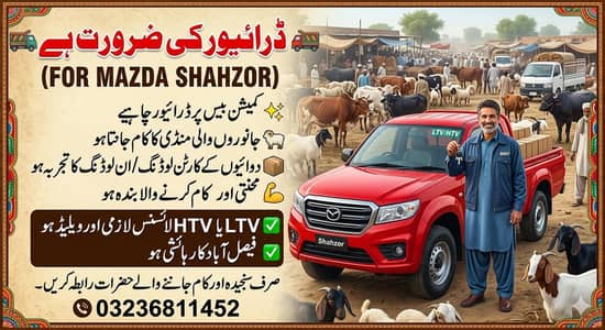 Need driver valid licence