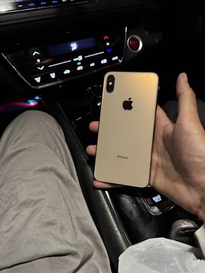 Xs Max 256gb pack