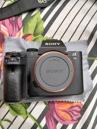Sony A7ii Full Frame Camera with 30mm Sigma lens