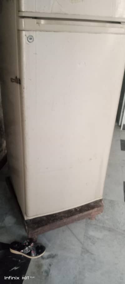 frij for sale medium size. no fault. .