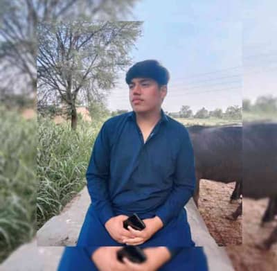 Kamran Kang