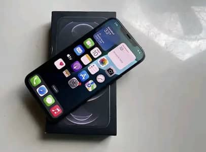 Apple iPhone 12 Pro Max