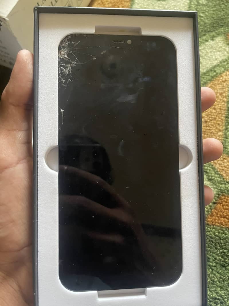iphones 12 pro max panel 2