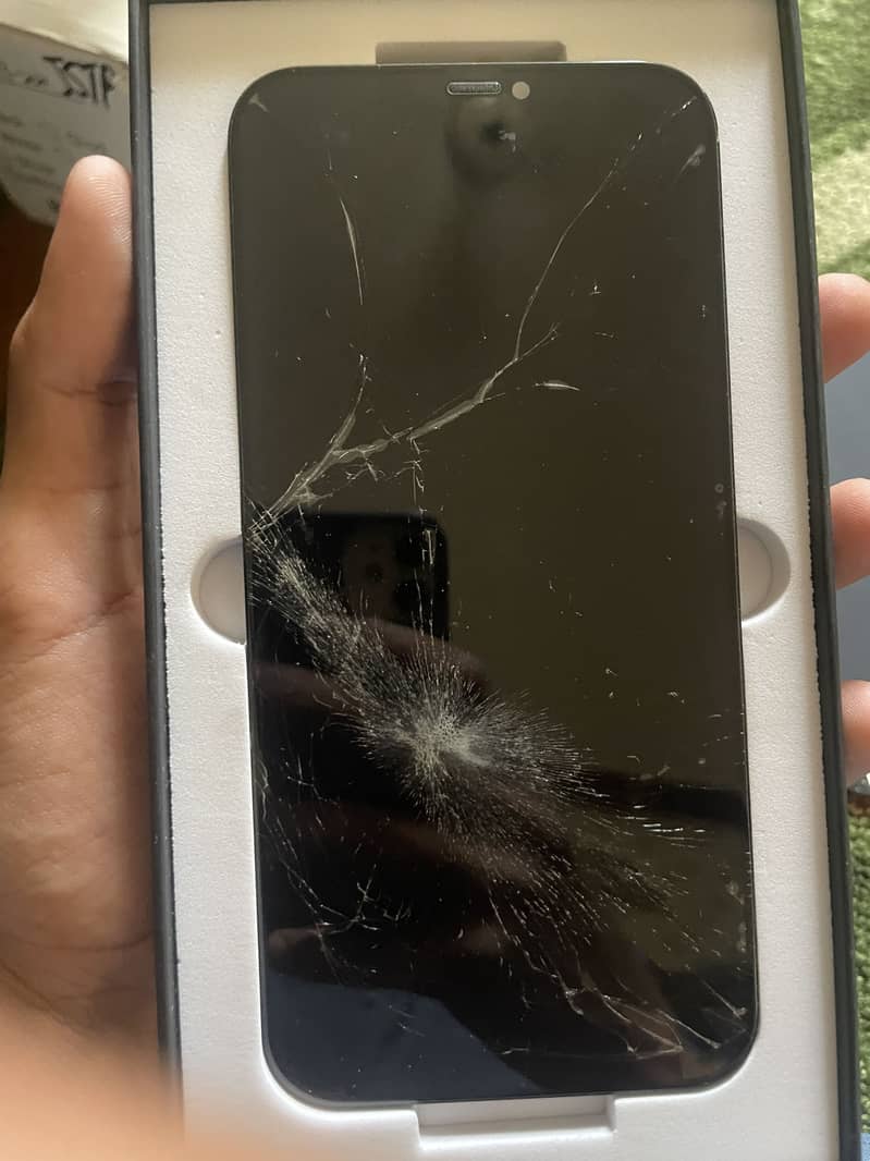 iphones 12 pro max panel 3