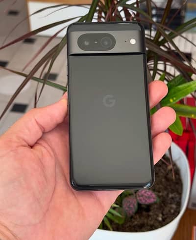 Google Pixel 8 Official Pta