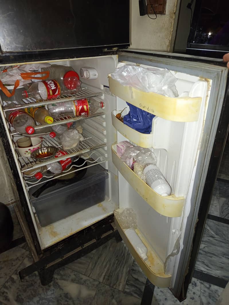 Orient Fridge 5