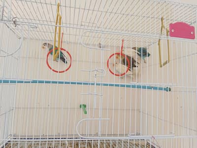 3 pair