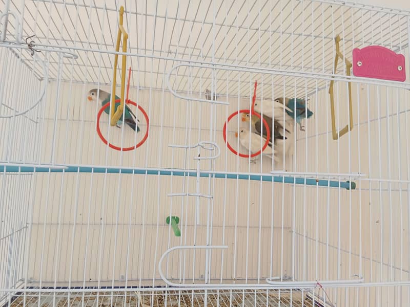 3 pair 0