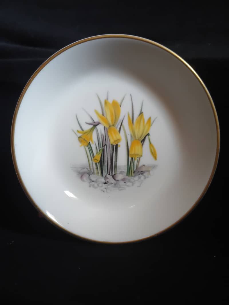 Mini Plates 4