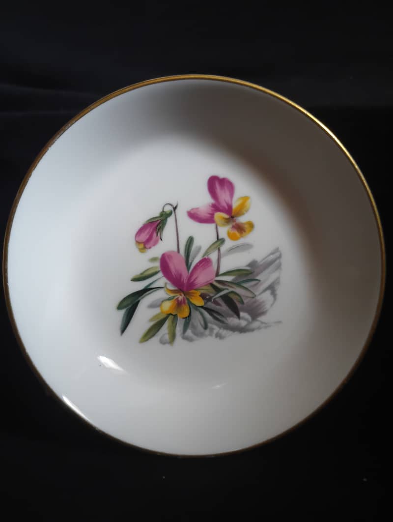 Mini Plates 10