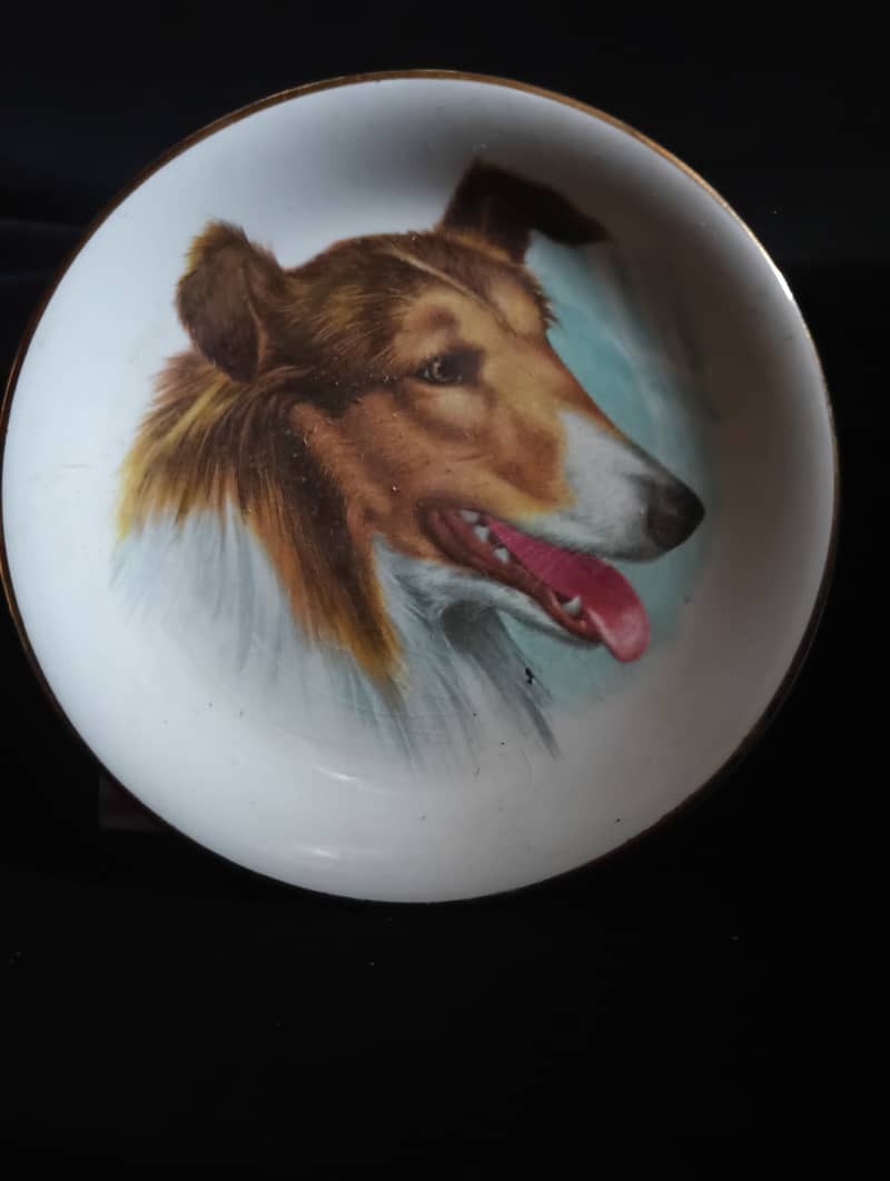 Mini Plates 12