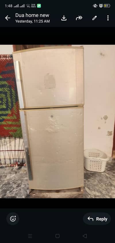Fridge