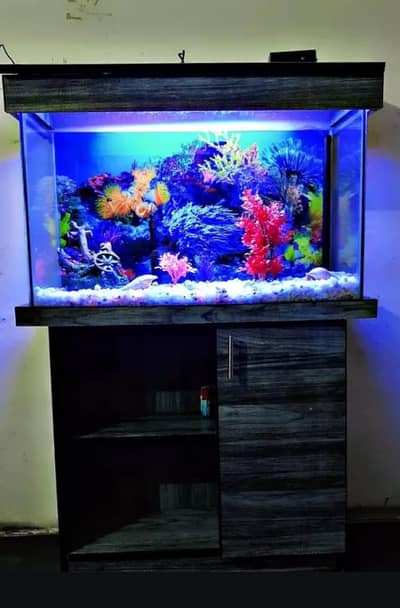 Fish