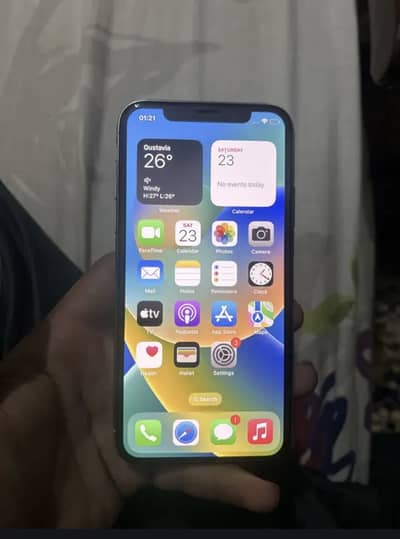 iPhone X