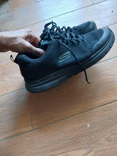 sketcher