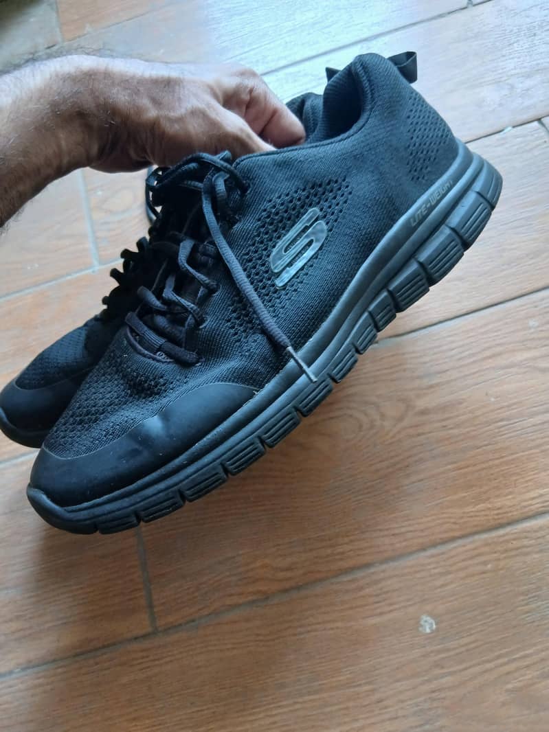 sketcher 1