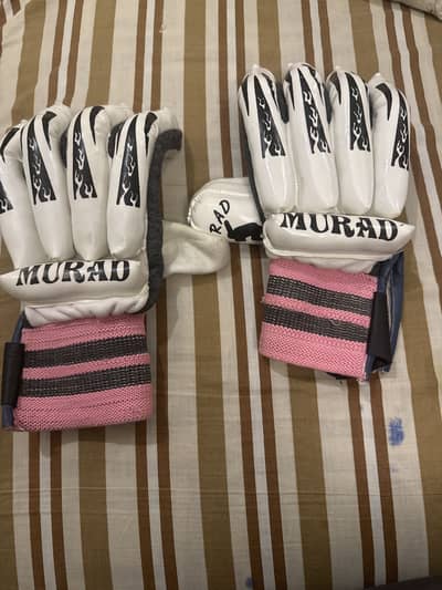 Cricket gloves