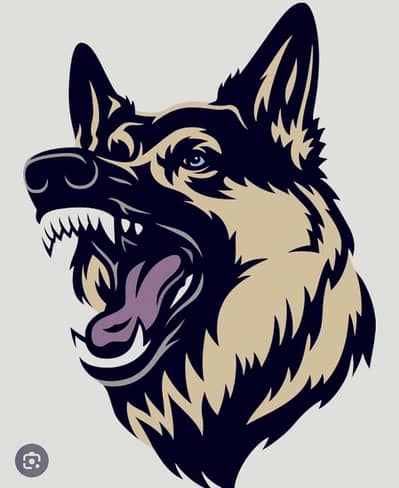 Embroidery Digitizing