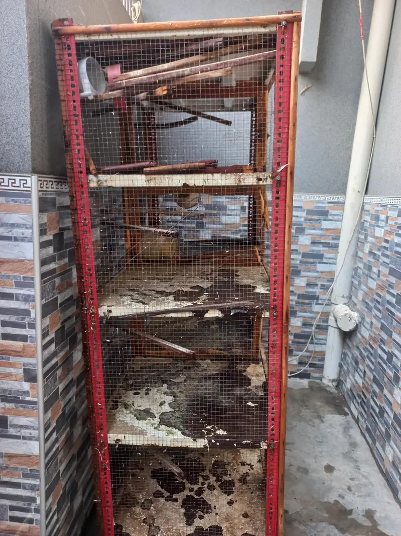 Iron and wood cage — photo 2