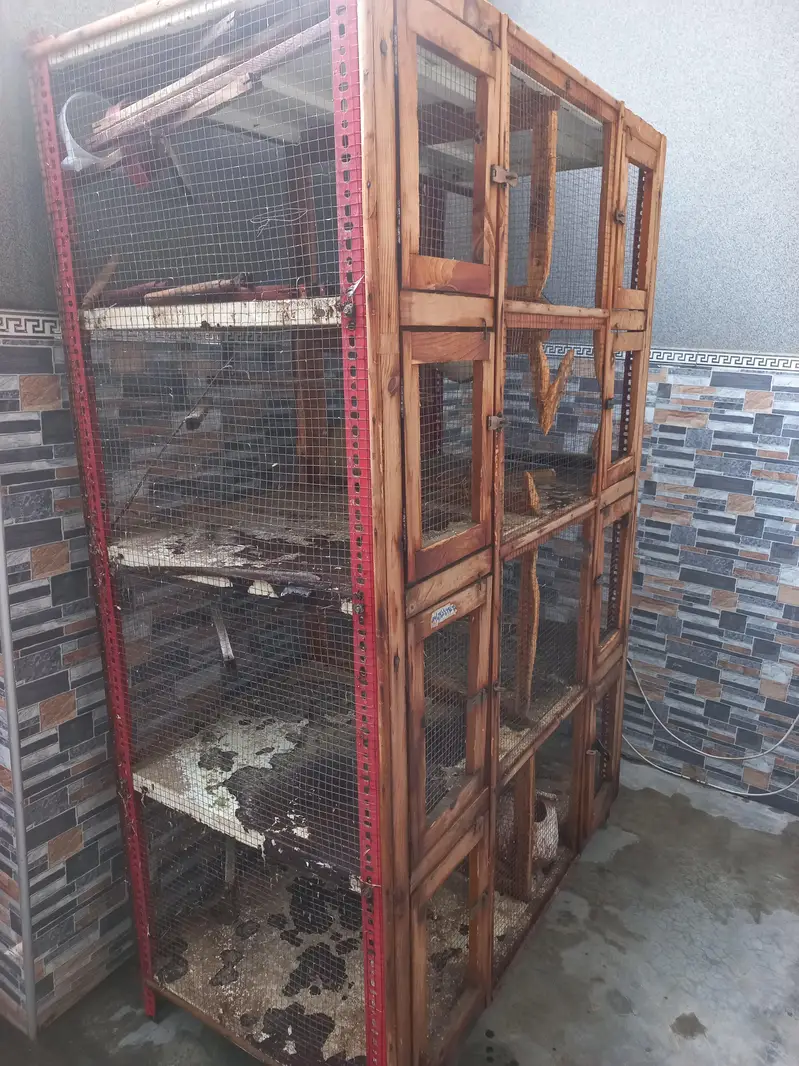 Iron and wood cage — photo 3