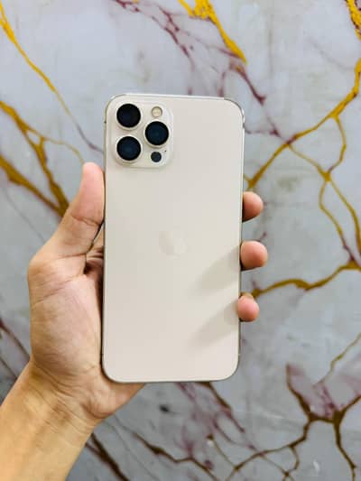 iPhone 12 Pro Max 256Gb Factory Waterpack