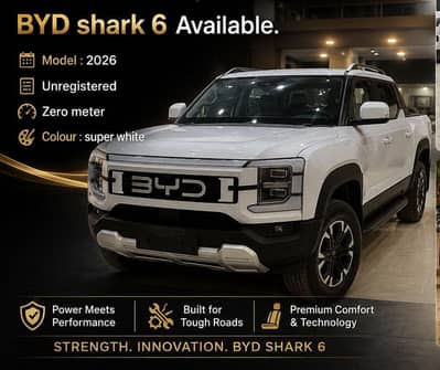 BYD shark new zero
