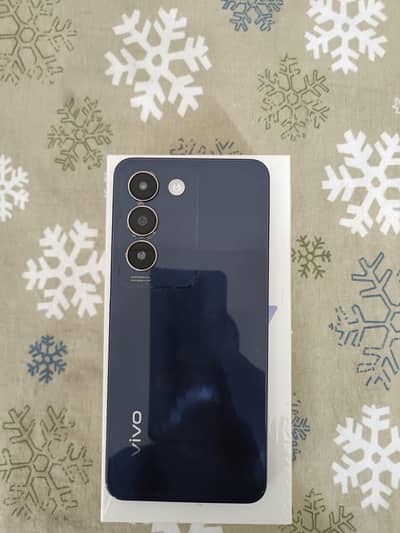Vivo Y100 8/256