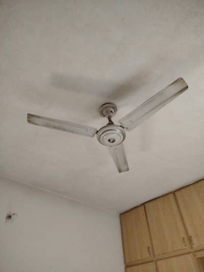 Ceiling fan