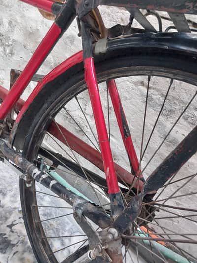 Cycle