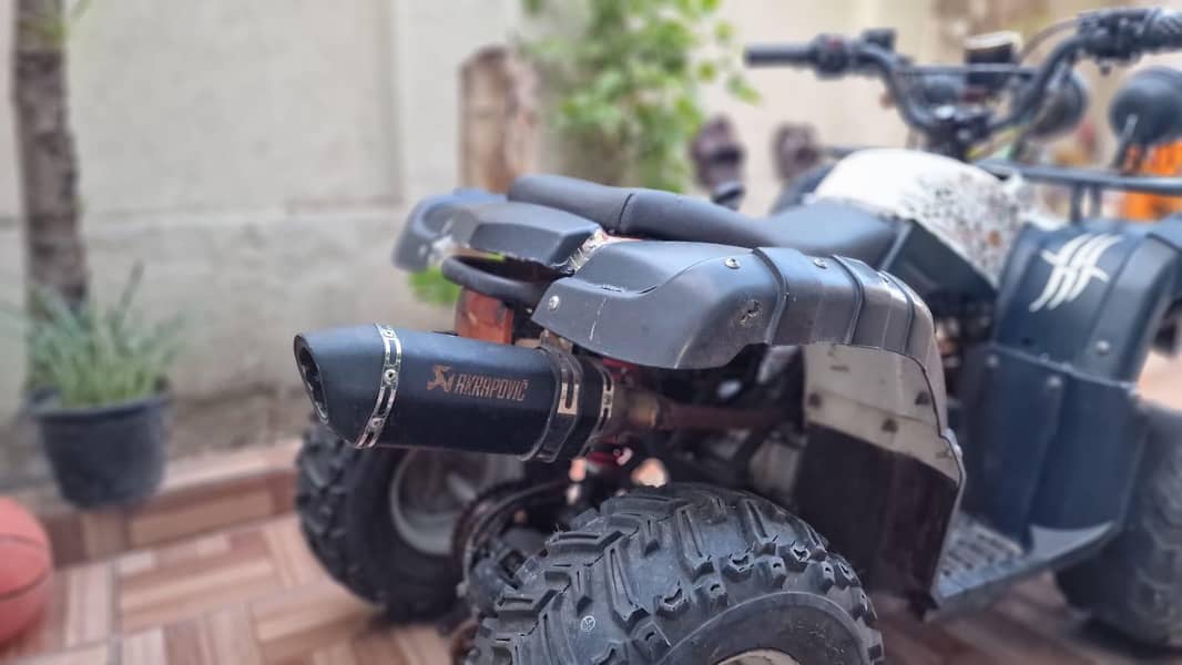 lush condition quad 4