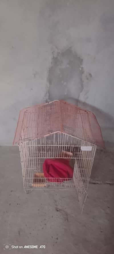 small cage for parrates