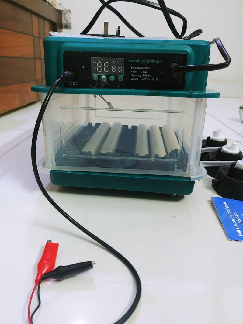 incubator 1