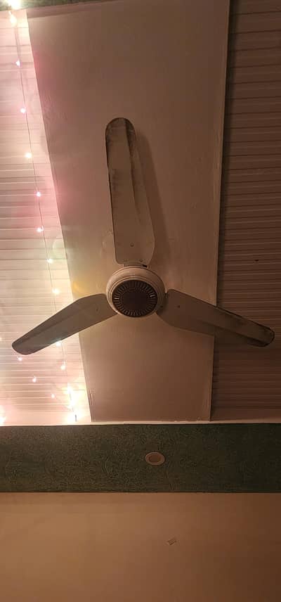cielling fan